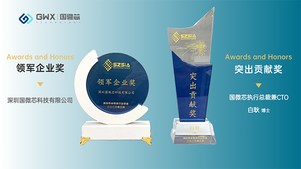 喜訊，國微芯再獲兩項大獎！